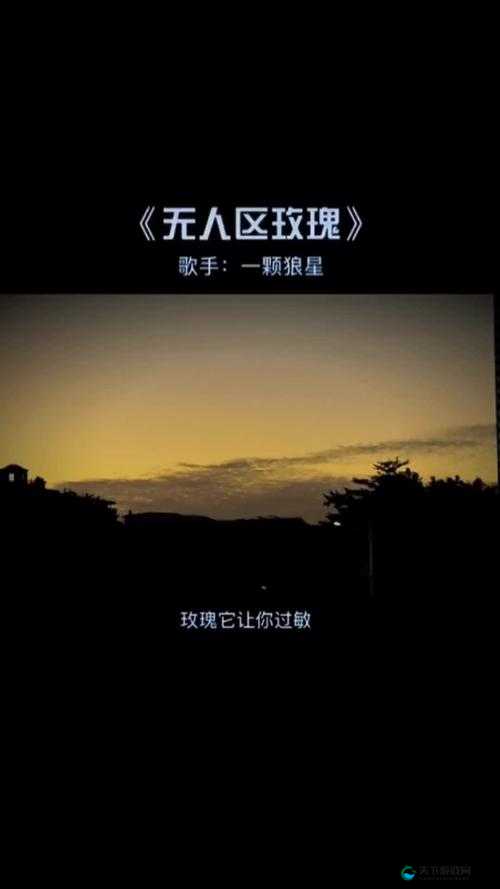 无人区玫瑰 MV 与一颗狼星相似：探究孤独与美丽的隐秘关联