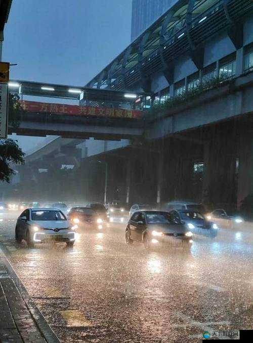 湿漉漉的像是刚下过雨：街道上的景象与人们的活动