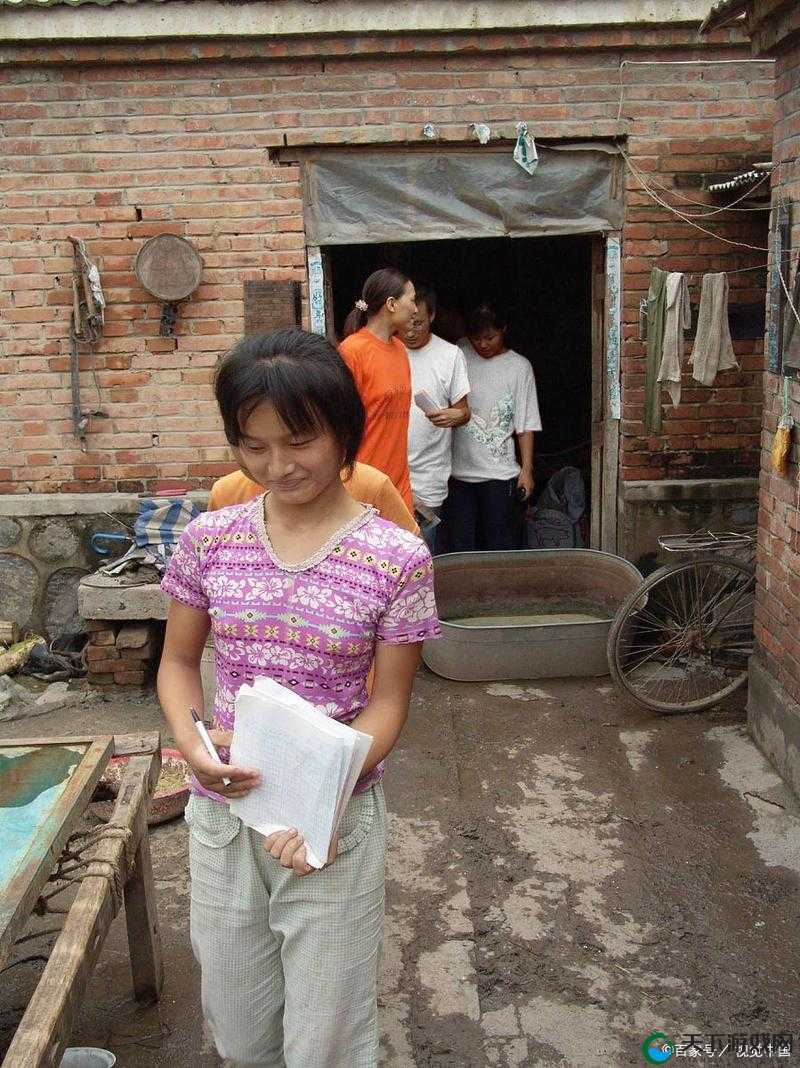 阿老妇乱事件引发的深刻思考与探讨