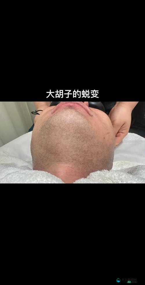 晶晶的极限改造日记大胡子：一个关于成长与挑战的故事
