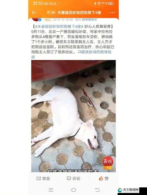 能看强奸动物过程的软件：探索人性的黑暗角落