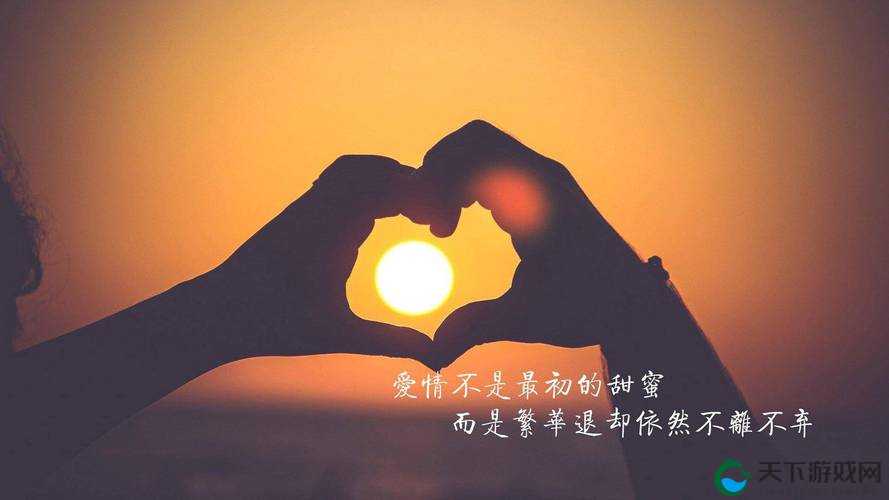 人人操人人色：探索别样的情感与行为模式