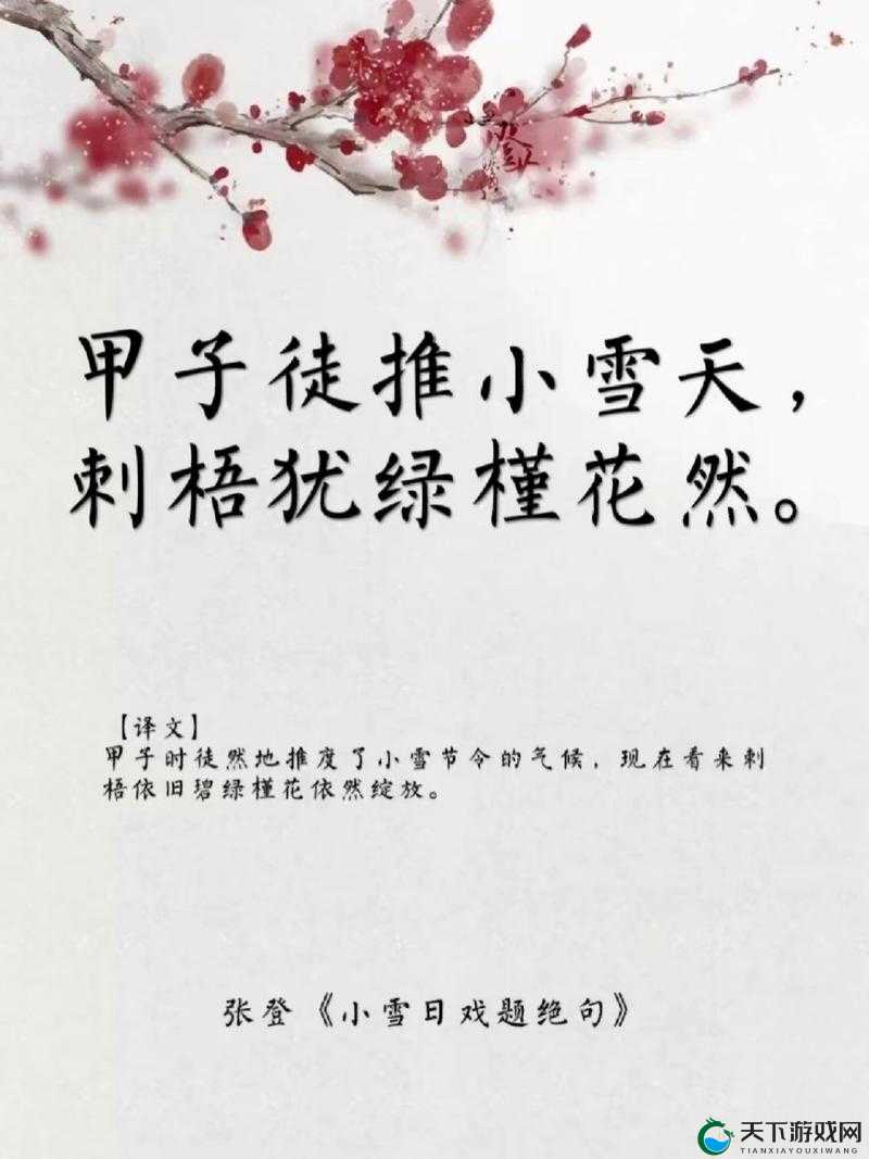 张大爷和小雪小说全文：一段跨越年龄的温暖故事