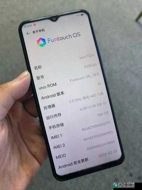 Y31 成色鉴定：专业评估，确保品质