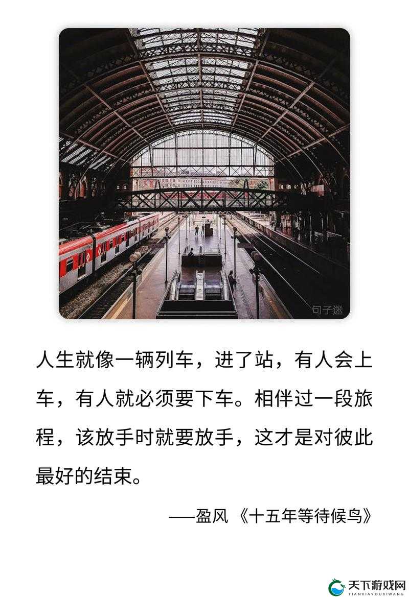 在火车和后妈妈谁在一起是什么书：一段引人深思的特殊旅程