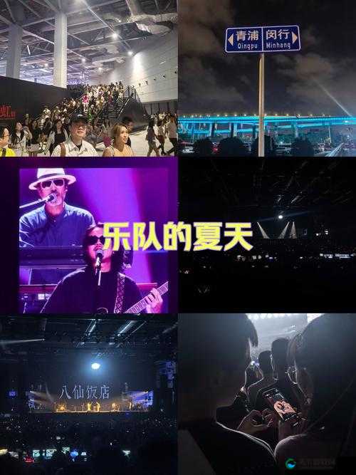 可不可以干湿你现场播放:一场独特音乐演出的震撼呈现