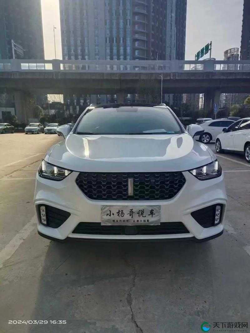 Wey-VV5 国产 SUV：时尚与性能的完美融合