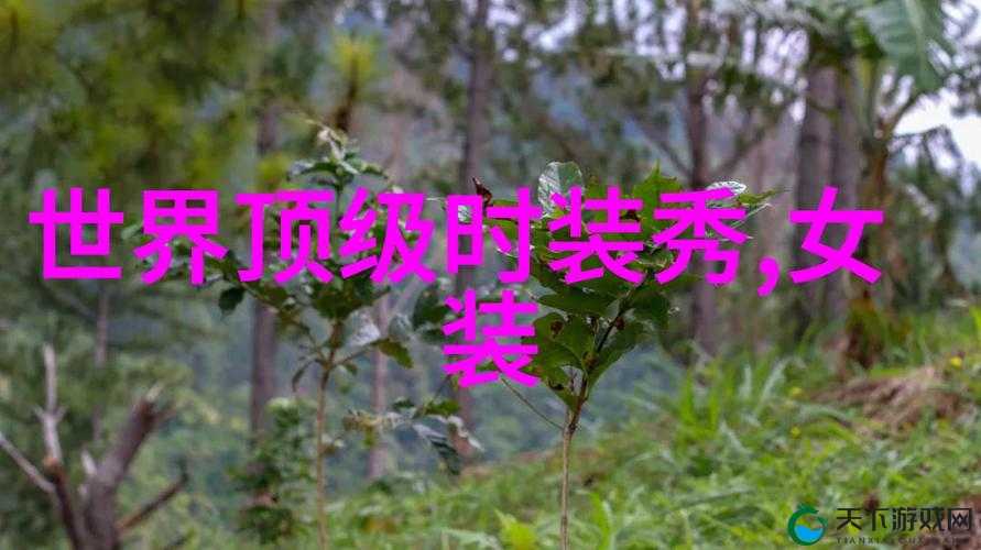 老卫和淑容的爱情故事：他们的甜蜜与温暖岁月