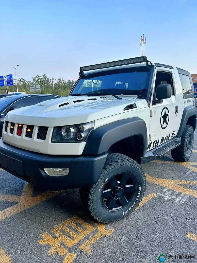两个我 bj40 分钟：荒野求生的刺激挑战