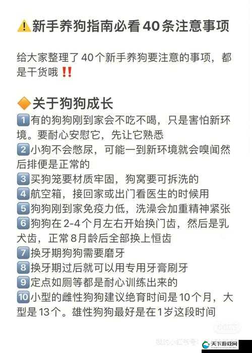利用网络调教小狗的正确方法和注意事项