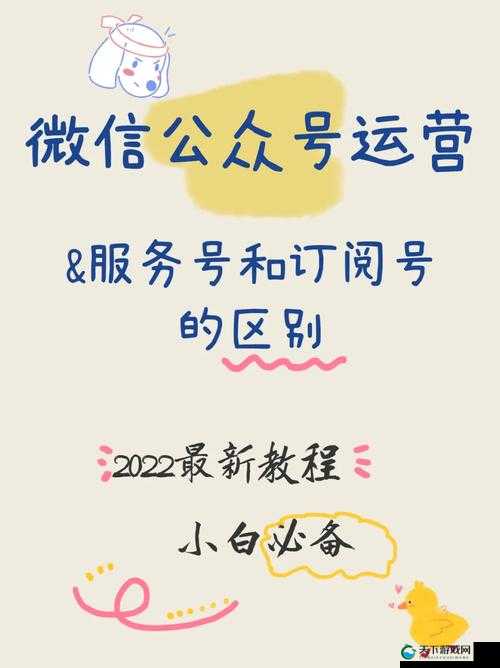 BBBBB 号码与 AAB 号的区别之详细对比分析与全面解读