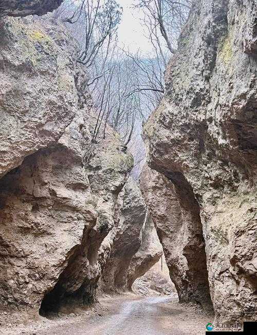 白虎一线天：探秘神秘峡谷的奇妙之旅