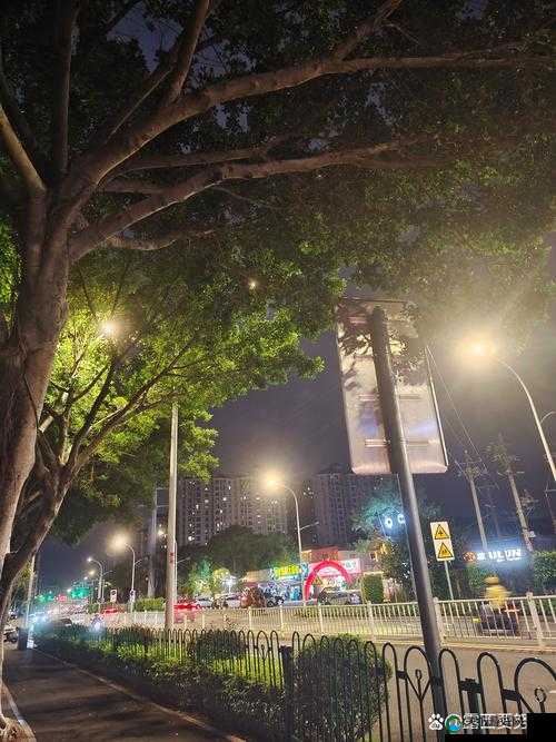 一夜夜天天拍……记录生活中的美好瞬间
