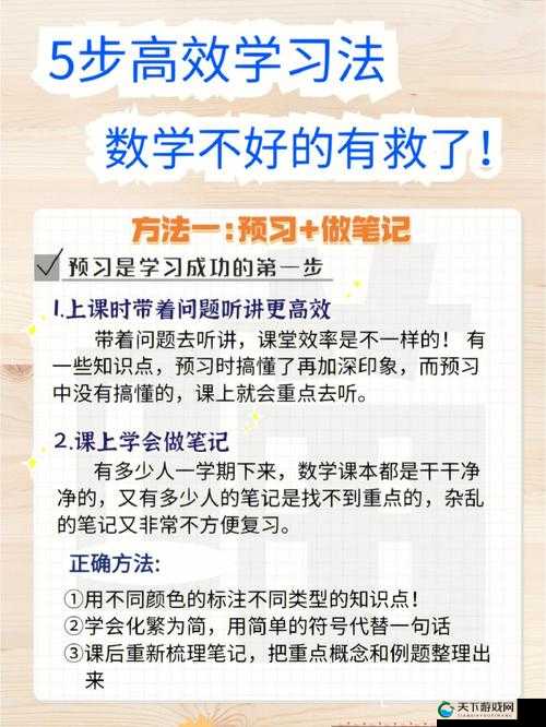 学霸鸡：助力学习的神奇伴侣，双楠校区等你来