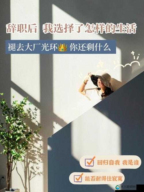 果冻传媒裸辞电影:一部展现职场真实与抉择的影片