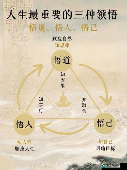 人是万物之灵拥有无限的智慧和情感