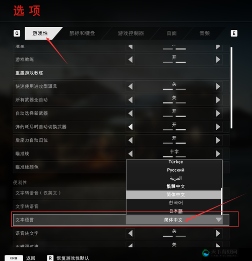 喋血复仇中文设置与游戏攻略全解析