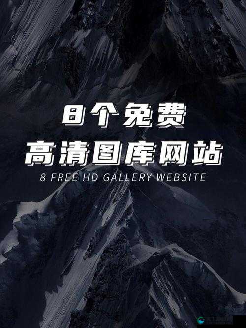 黄金网站免费大全入口:畅享海量优质资源免费畅享