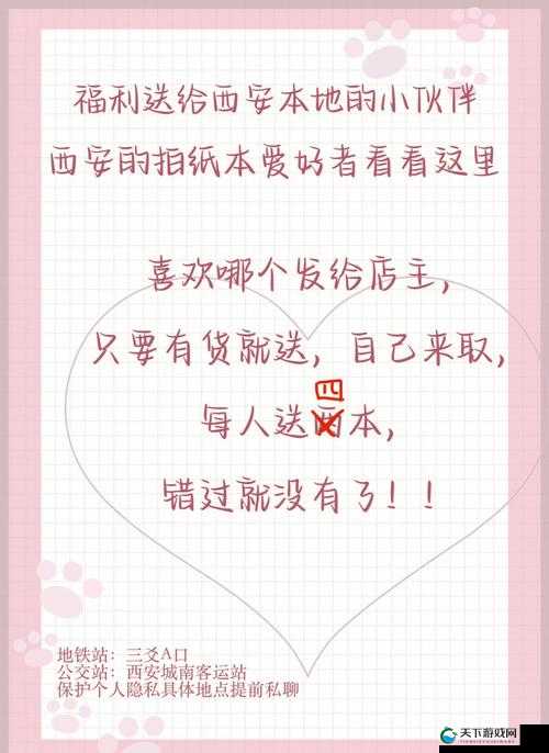 51 爆料往期精彩内容大揭秘：那些不容错过的过往点滴