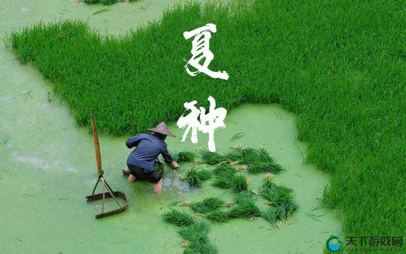 情侣的 30 种插秧法相关图片视频无法观看原因探究