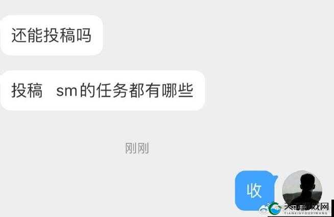 m 圈的 100 个任务及着装之详细解读与分析