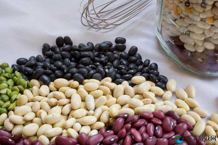 迷踪林大豆行情网官网:提供全面准确的大豆行情信息