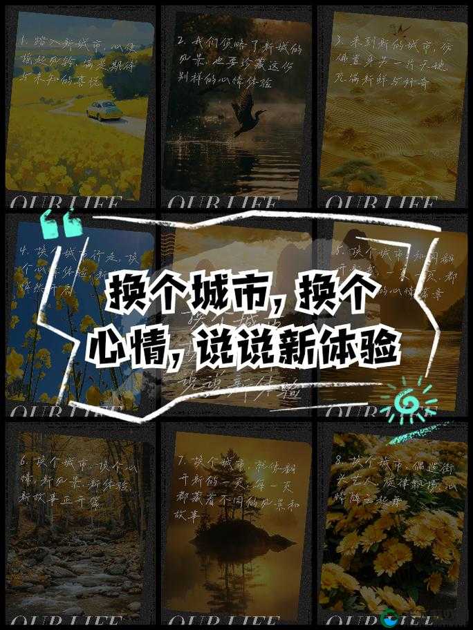 三人个人换着玩感受：全新体验带来的别样收获与思考
