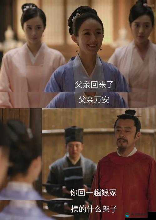 王妃回门然后被自己父亲大厅:背后隐藏的家庭秘辛与情感纠葛