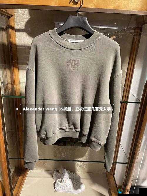 ALEXANDERWANG 妈妈评测：关于其品牌产品的详细分析与解读
