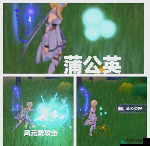 原神排异之露怎么获得，资源管理、高效利用与避免浪费