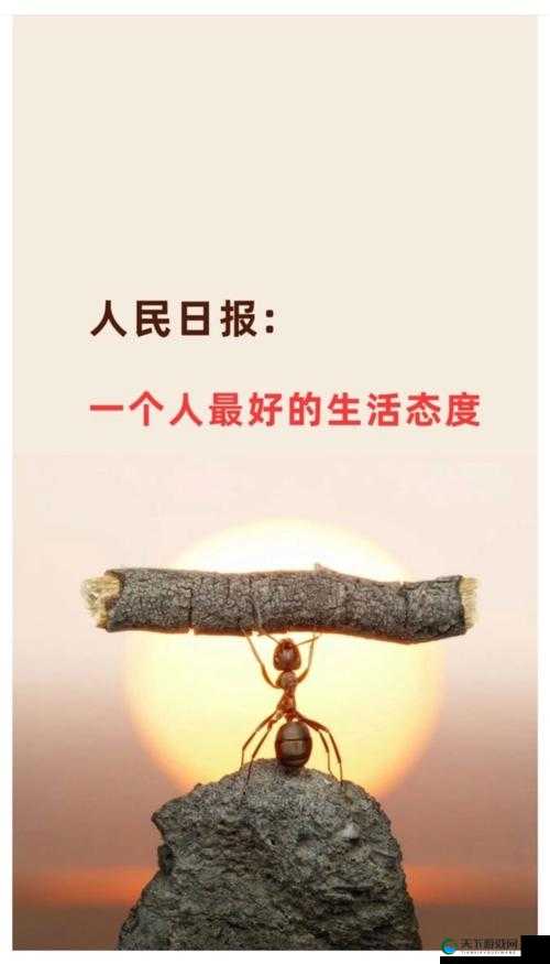那一刻,进入最简单的人内心深处:对生活的热爱与坚守