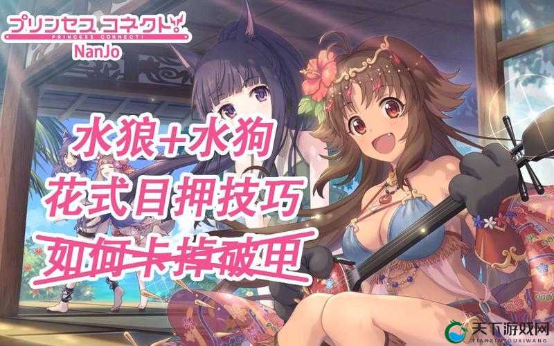 公主连结水狼角色深度解析