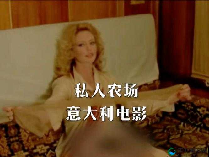 私人影片:记录生活中那些不为人知的珍贵瞬间