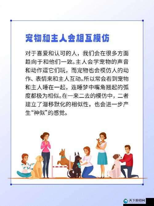 当宠物与主人的关系:美国人与 dog 交的背后故事