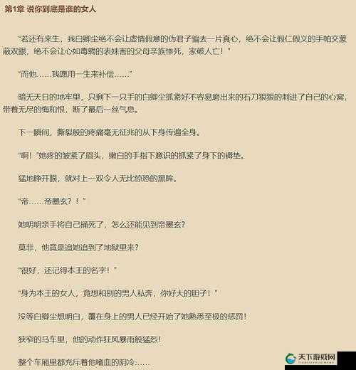 摄政王马车里涟漪引发的别样故事