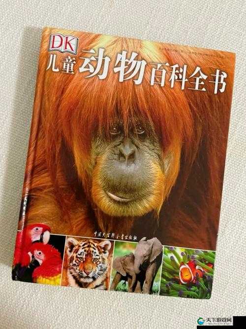 美国Zoom动物仙踪林介绍:带你探索神奇动物世界