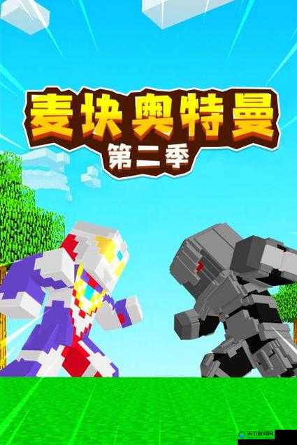 关于 ZOOM 另一类 ZZO03 的独特探索与发现