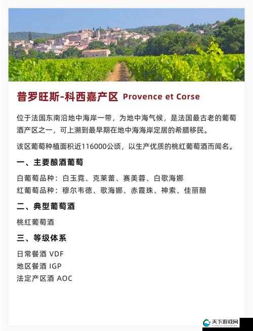 欧美精品一产区二产区:探索时尚与品质的完美融合