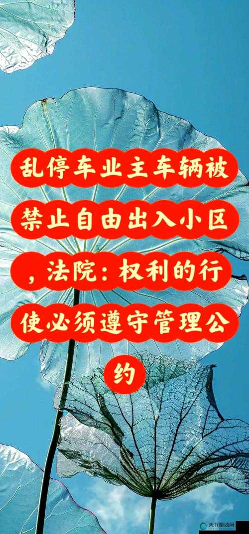 取消进出限制:为人们出行和交流带来更多自由便利