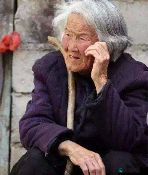 中国老太太 WBBHD 不平凡的人生经历与智慧启示