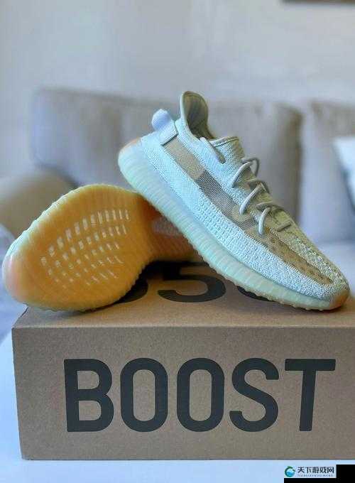 亚洲 yeezy 官网网站:潮流引领者的专属之地