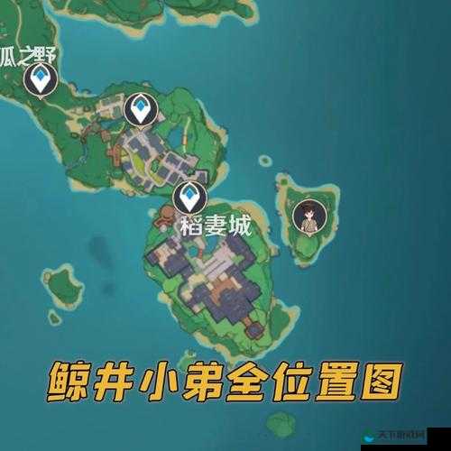 原神鲸井小弟手鞠全位置一览,资源管理的高效指南