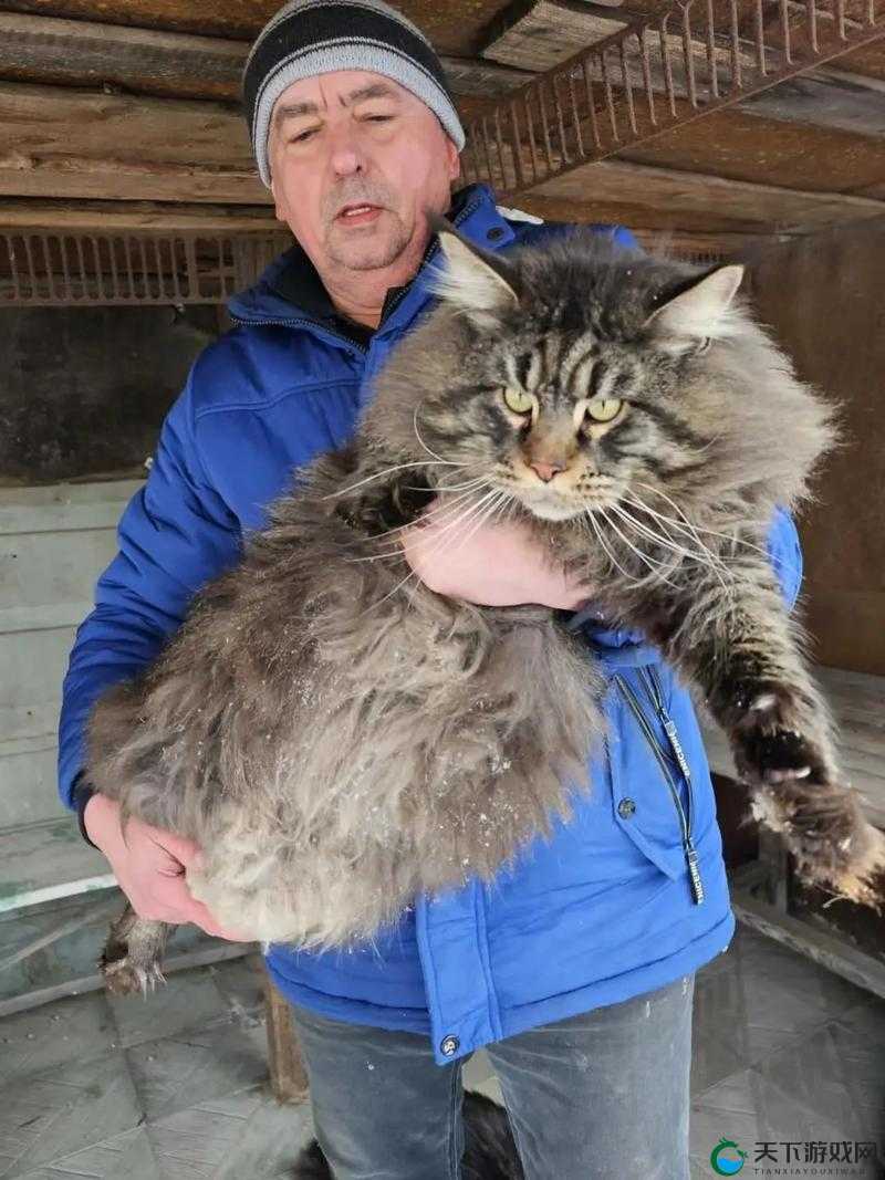 два和две的区别是什么