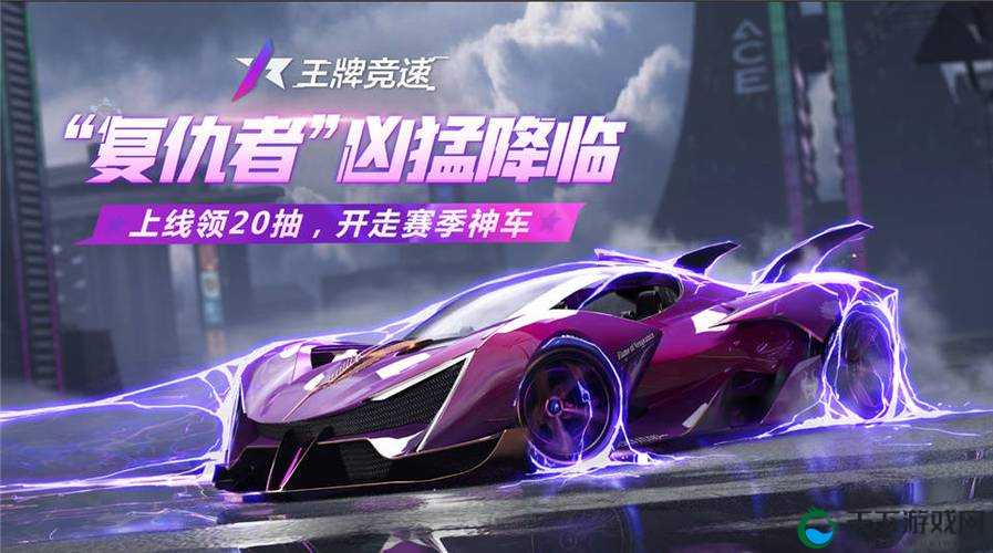 王牌竞速双人拉力赛,速度与激情的双重奏