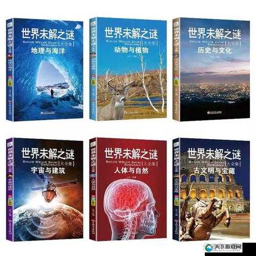关键词,探索未知世界的奇妙之旅