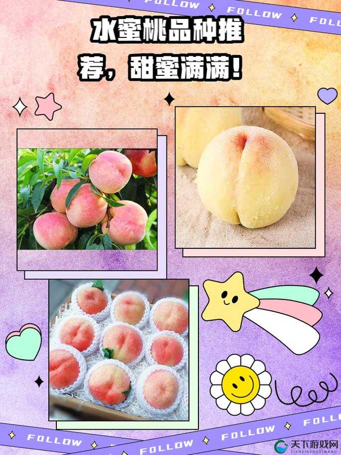 水蜜桃 4 双管齐下:口感与营养的完美结合