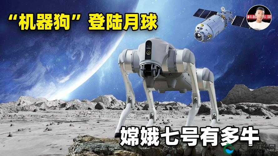 x7x7x7x7 任意:一场关于数字的奇妙冒险