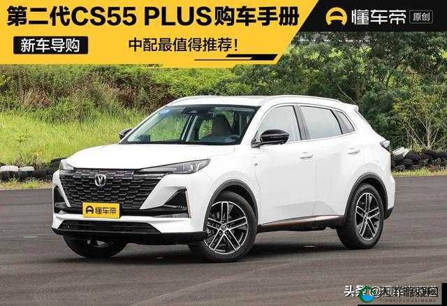 CS16 序列号是多少- 玩家必备的重要信息查询