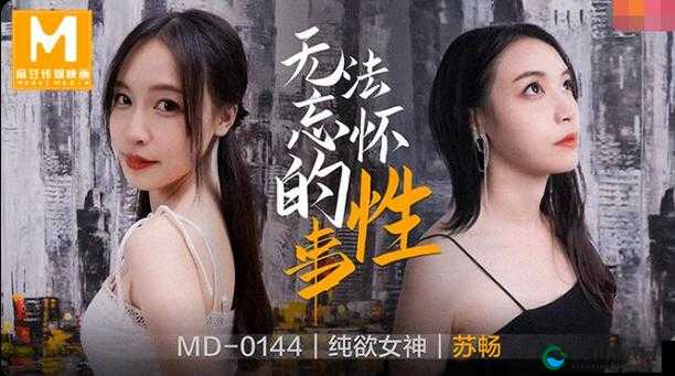 麻花传 MD0190 苏畅的精彩演绎与独特魅力