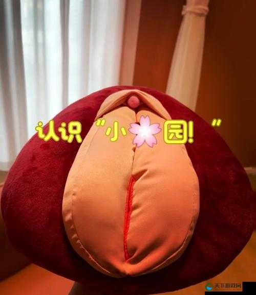 亲小花园的时候需要垫枕头吗:探寻其中的奥秘与细节